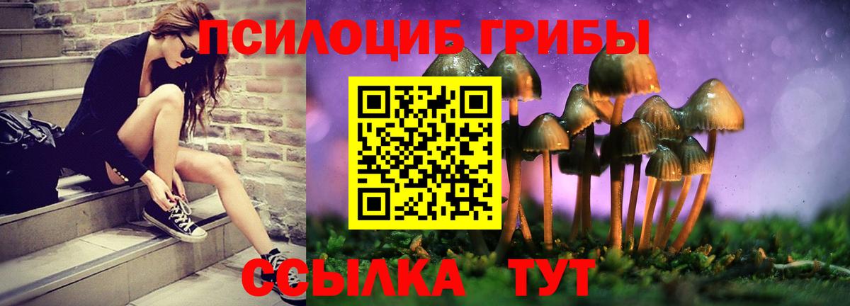 Галлюциногенные грибы Magic Shrooms Красногорск